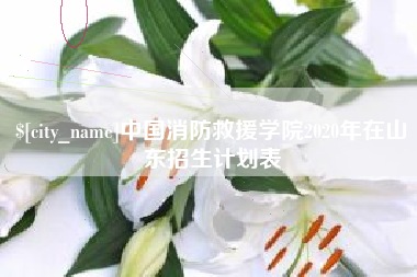 图木舒克中国消防救援学院2020年在山东招生计划表