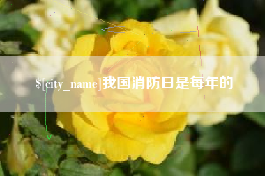 图木舒克我国消防日是每年的