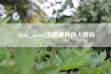 图木舒克失信被执行人杳询