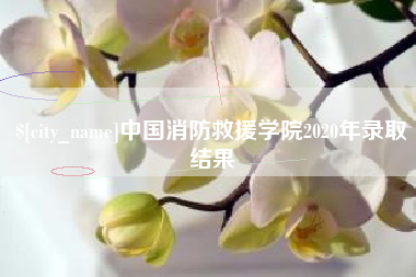 图木舒克中国消防救援学院2020年录取结果