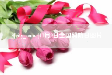 图木舒克11月9日全国消防日图片
