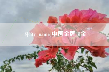 图木舒克中国金牌18金