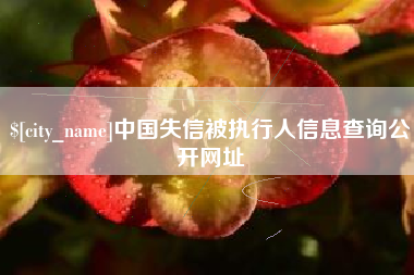 图木舒克中国失信被执行人信息查询公开网址