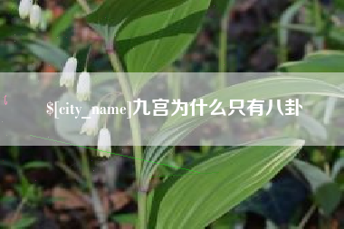 图木舒克九宫为什么只有八卦