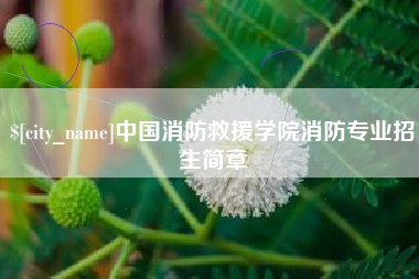 图木舒克中国消防救援学院消防专业招生简章