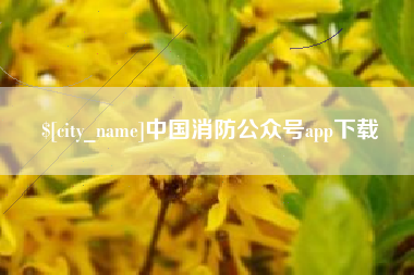 图木舒克中国消防公众号app下载