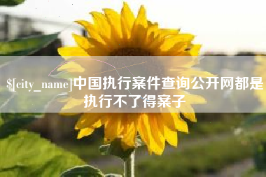 图木舒克中国执行案件查询公开网都是执行不了得案子