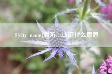 图木舒克消防ccc认证什么意思