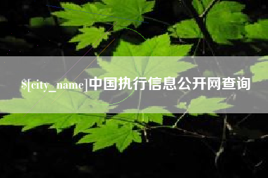图木舒克中国执行信息公开网查询