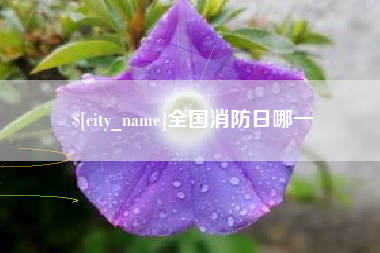 图木舒克全国消防日哪一