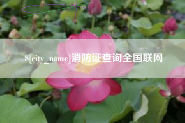 图木舒克消防证查询全国联网