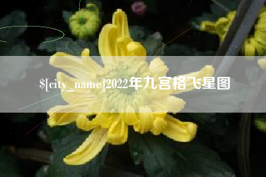 图木舒克2022年九宫格飞星图