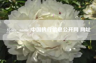 图木舒克中国执行信息公开网 网址