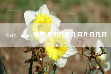 图木舒克我国消防日是几月几日几日