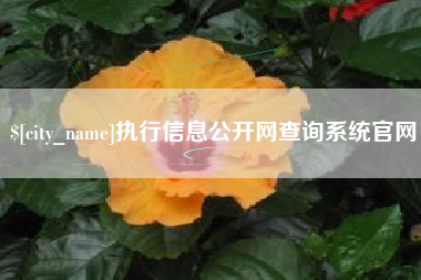 图木舒克执行信息公开网查询系统官网