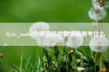 图木舒克中国消防救援学院都考什么