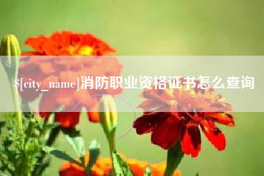 图木舒克消防职业资格证书怎么查询