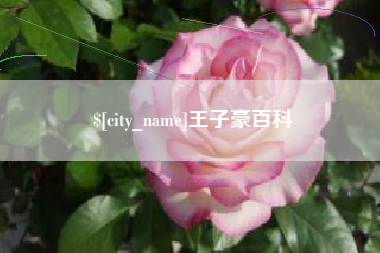 图木舒克王子豪百科