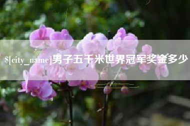 图木舒克男子五千米世界冠军奖金多少