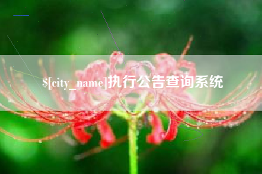 图木舒克执行公告查询系统