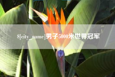 图木舒克男子5000米世界冠军