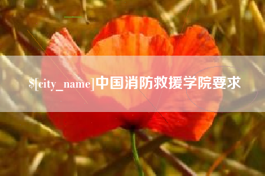 图木舒克中国消防救援学院要求