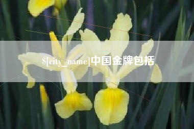 图木舒克中国金牌包括