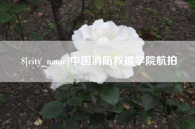 图木舒克中国消防救援学院航拍