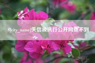图木舒克失信被执行公开网查不到