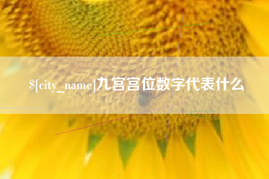 图木舒克九宫宫位数字代表什么