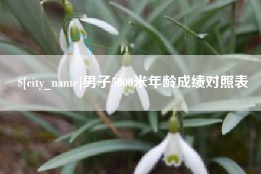 图木舒克男子5000米年龄成绩对照表