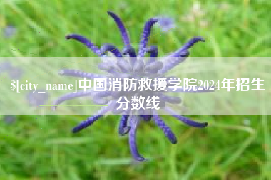 图木舒克中国消防救援学院2024年招生分数线