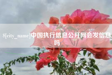 图木舒克中国执行信息公开网会发信息吗