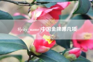 图木舒克中国金牌哪几项