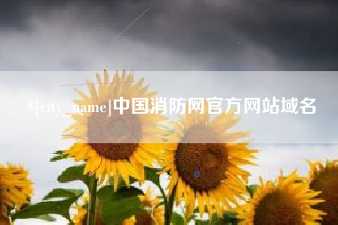 图木舒克中国消防网官方网站域名
