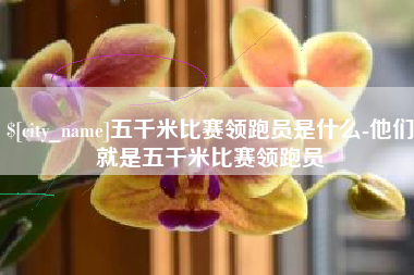 图木舒克五千米比赛领跑员是什么-他们就是五千米比赛领跑员