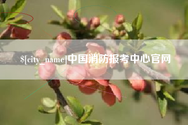 图木舒克中国消防报考中心官网