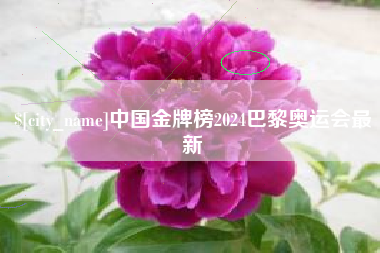 图木舒克中国金牌榜2024巴黎奥运会最新