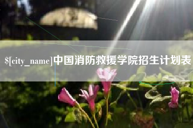 图木舒克中国消防救援学院招生计划表