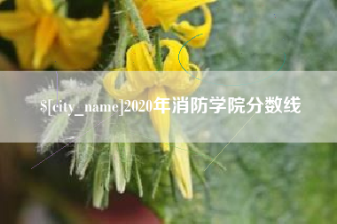 图木舒克2020年消防学院分数线