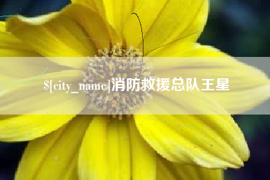 图木舒克消防救援总队王星