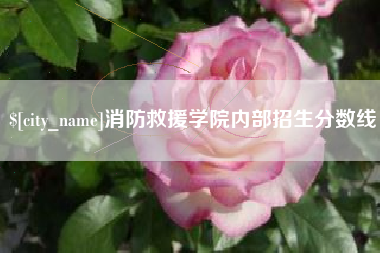 图木舒克消防救援学院内部招生分数线