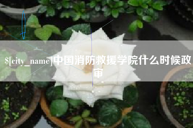 图木舒克中国消防救援学院什么时候政审
