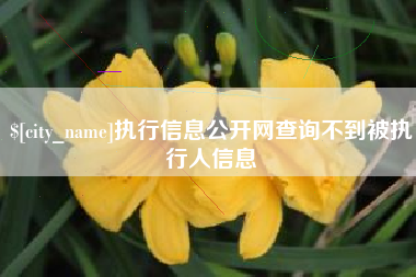 图木舒克执行信息公开网查询不到被执行人信息