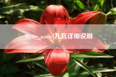 图木舒克九宫详细说明