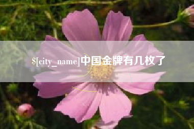 图木舒克中国金牌有几枚了
