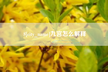 图木舒克九宫怎么解释