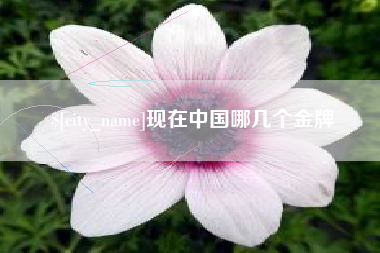 图木舒克现在中国哪几个金牌