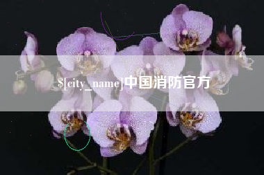 图木舒克中国消防官方