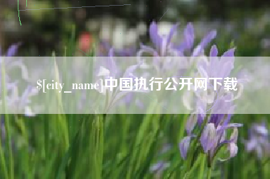 图木舒克中国执行公开网下载